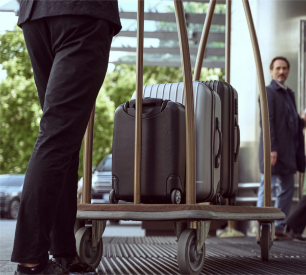 Chauffeur service - personal care including luggage service